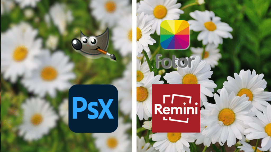 The Best Free Tools for Fixing Blurry Photos: Sharpen Your Images Like a Pro