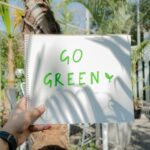 5 Simple Steps to Greener Printing Practices (Without Sacrificing Quality)